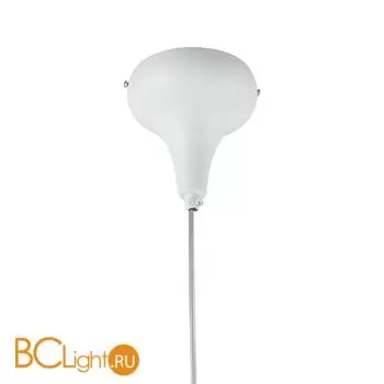 Подвесной светильник Favourite Taddy Bears 2450-1P - Фото 1